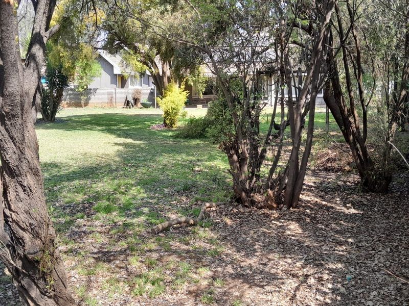 A spacious rear garden area featuring mature trees, established lawn, and boundary walling, offering potential for landscaping and outdoor development.