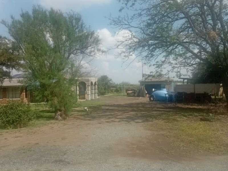 A view of the property entrance featuring a gravel driveway, mature trees, and an outbuilding on a residential plot.