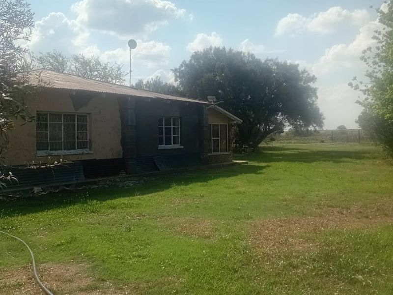 Rear view of a residential property featuring a large garden, corrugated metal roof, and steel-framed windows with visible exterior wall deterioration.