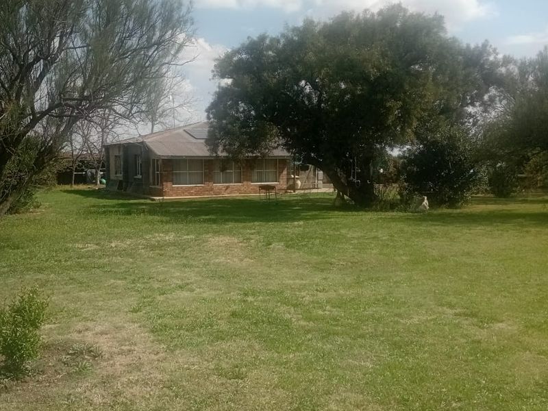 A view of the rear of the residential property featuring a brick exterior, metal roof, and a spacious surrounding lawn with mature trees.