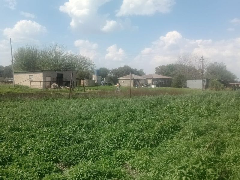 A view of a large vacant residential plot featuring overgrown grass, perimeter fencing, and existing outbuildings in the background.