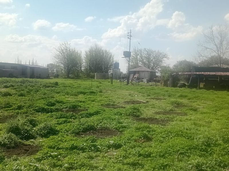 A view of a large, undeveloped residential plot featuring grassy terrain, a utility pole, and existing outbuildings in the background.
