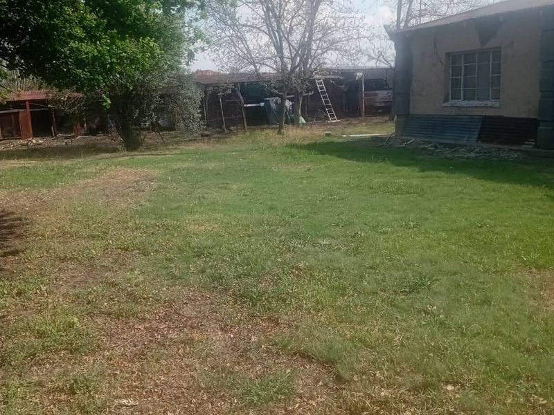A view of the rear yard featuring a lawn, mature trees, and an existing outbuilding structure in need of maintenance.