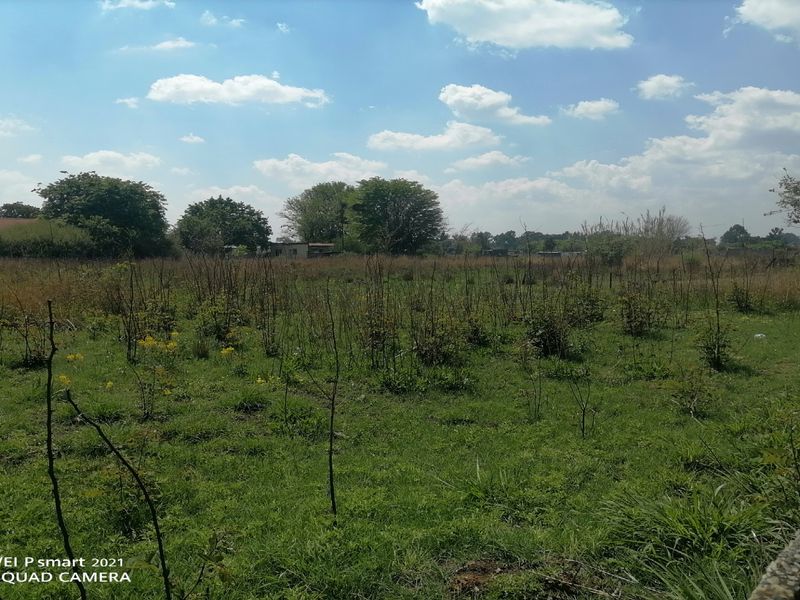A view of a vacant residential plot featuring open grassland and mature trees, suitable for future development.
