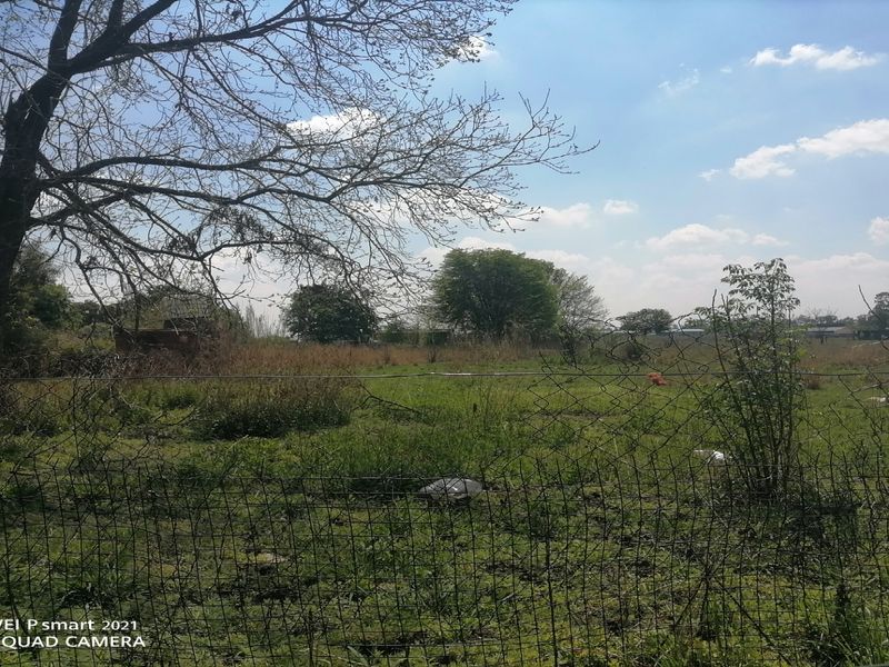A view of a vacant residential plot featuring mature trees and wire mesh perimeter fencing.