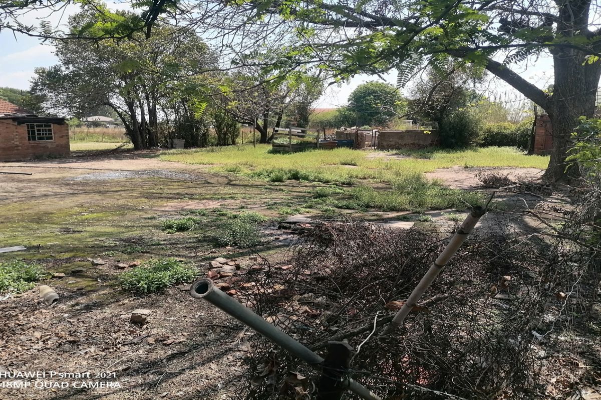 A view of a large, overgrown residential plot featuring mature trees, a brick structure, and significant debris throughout the yard.