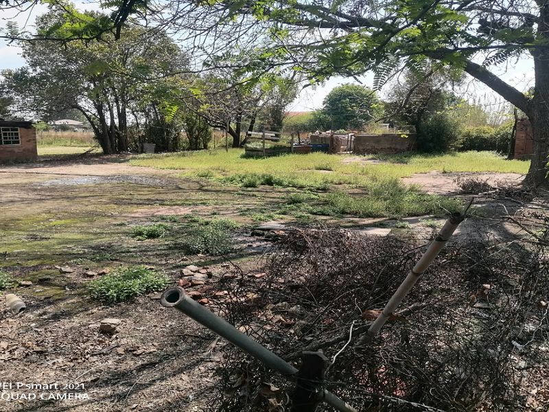 A view of a large, overgrown residential plot featuring mature trees, a brick structure, and significant debris throughout the yard.