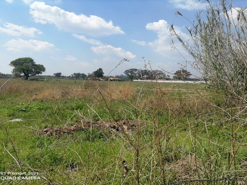 A view of an undeveloped residential plot featuring open grassland and natural vegetation under a clear sky.
