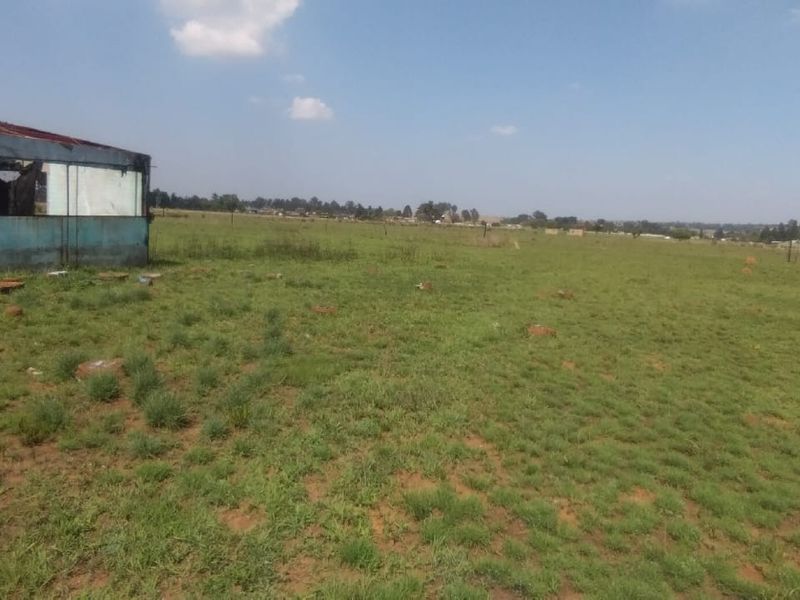 “10‐Hectare Chicken Farm – Prime Agribusiness Opportunity” - Photo 4
