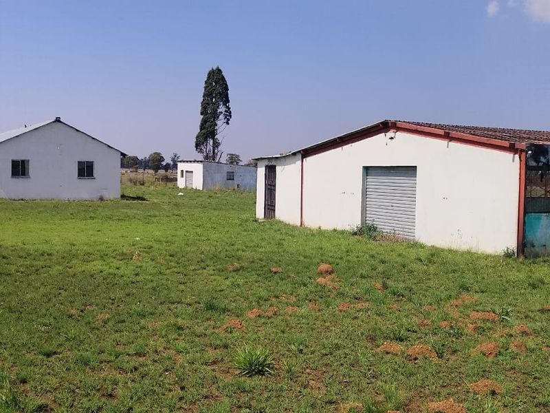 “10‐Hectare Chicken Farm – Prime Agribusiness Opportunity” - Photo 5