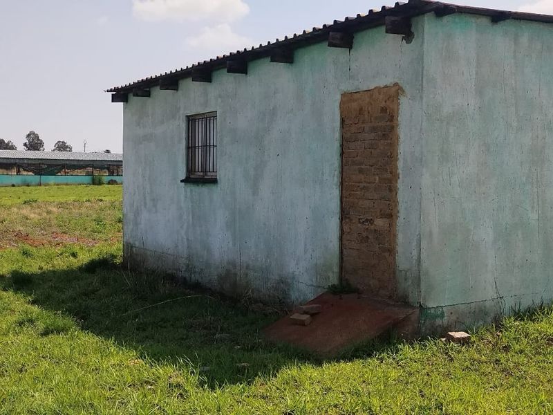 “10‐Hectare Chicken Farm – Prime Agribusiness Opportunity” - Photo 8