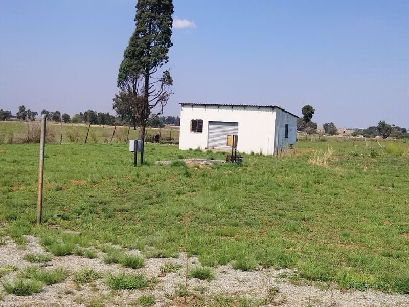 “10‐Hectare Chicken Farm – Prime Agribusiness Opportunity” - Photo 6