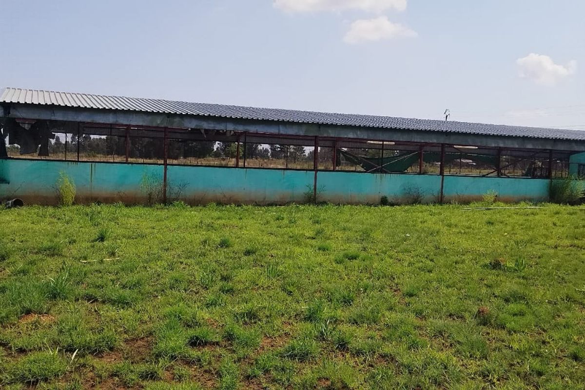 A large, dilapidated utility or agricultural structure featuring a steel frame and corrugated metal roof, situated on an open grass field.