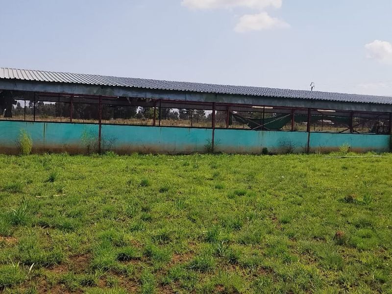 “10‐Hectare Chicken Farm – Prime Agribusiness Opportunity” - Photo 3