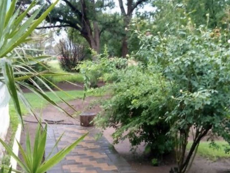 A view of a garden featuring a paved walkway leading through mature trees and established greenery.
