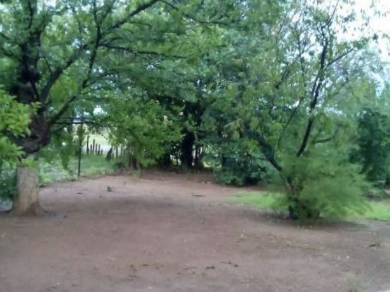 A spacious, natural garden area featuring mature trees and an unpaved ground surface, offering potential for landscaping and outdoor development.
