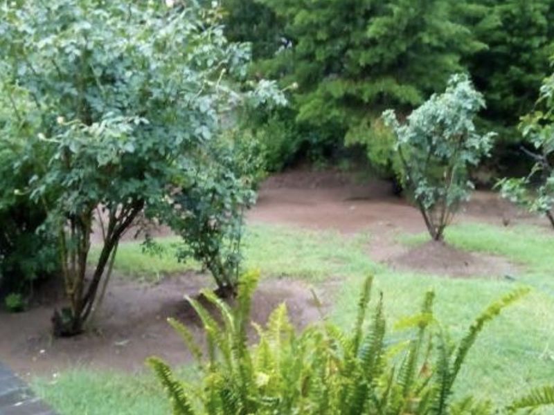 A view of a residential garden featuring a paved walkway and established greenery.