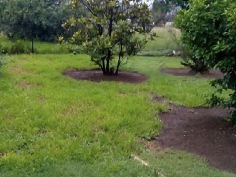 A view of a spacious residential garden featuring established trees and a grass lawn.