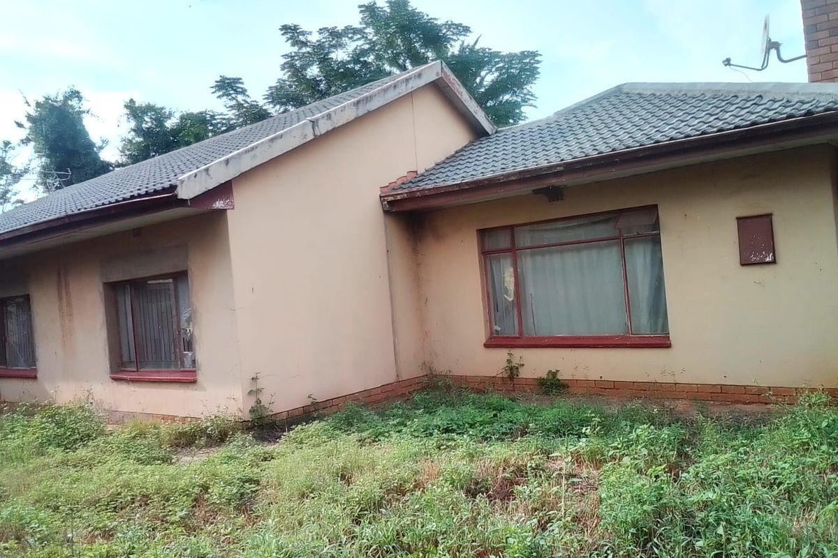 Rear view of a single-story house featuring a tiled roof, brick chimney, and metal window frames, set within an overgrown garden area.