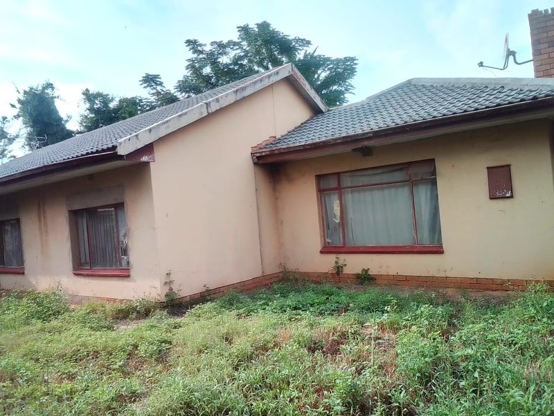 Rear view of a single-story house featuring a tiled roof, brick chimney, and metal window frames, set within an overgrown garden area.