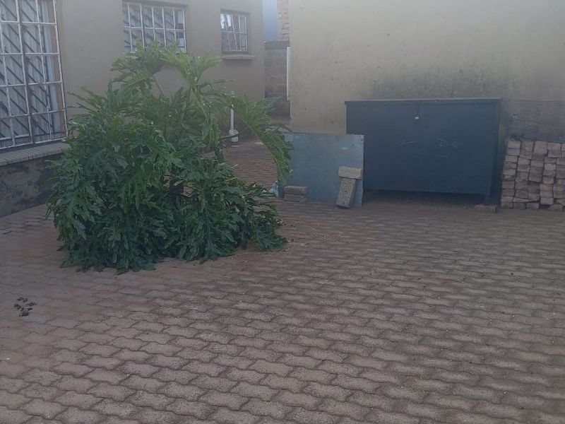 A rear courtyard area featuring paved flooring and plastered exterior walls with security-fitted windows.