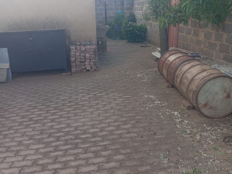 A rear exterior area featuring paved ground, a concrete boundary wall, and a fixed outdoor wash basin, requiring maintenance and landscaping.