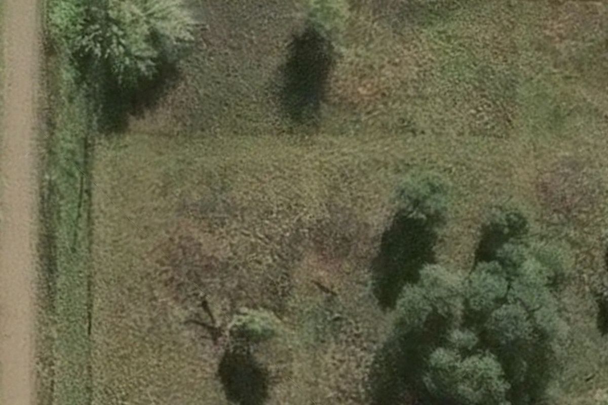 An aerial view of the vacant residential land featuring established trees and open grass areas.
