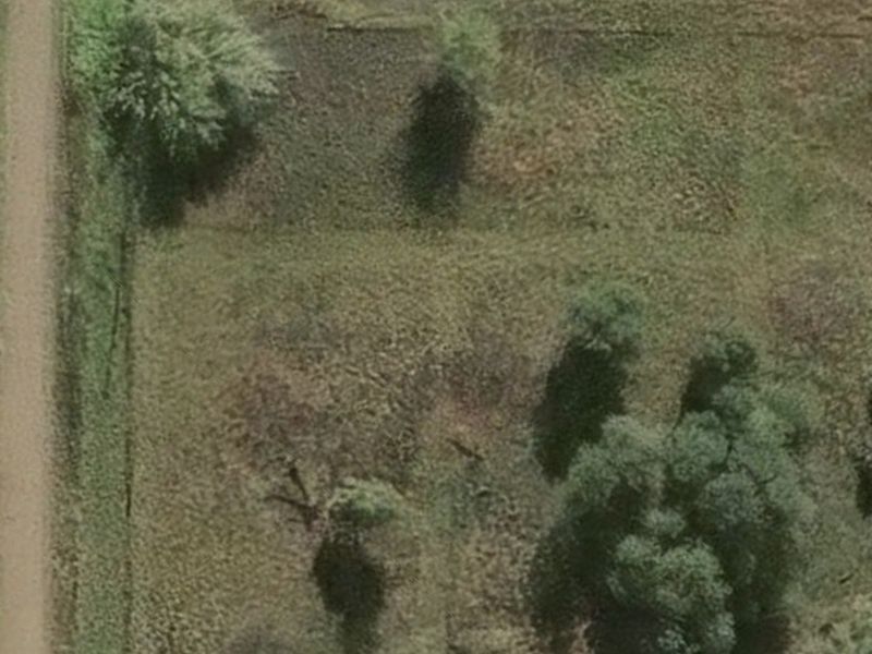 An aerial view of the vacant residential land featuring established trees and open grass areas.