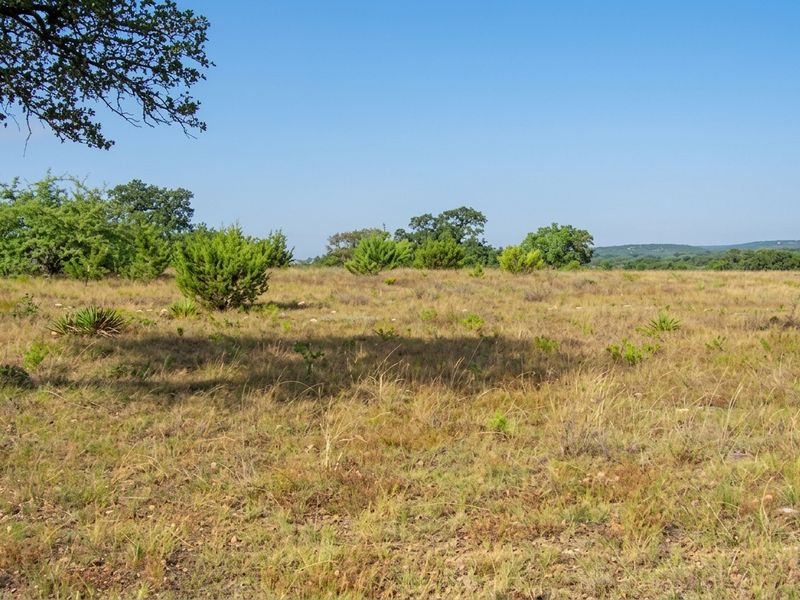 A wide-angle view of a vacant residential lot featuring natural grassland, scattered native shrubs, and mature trees under a clear blue sky.