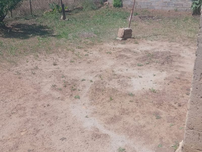 A rear yard area featuring a cinder block boundary wall and wire fencing, currently requiring landscaping and ground maintenance.