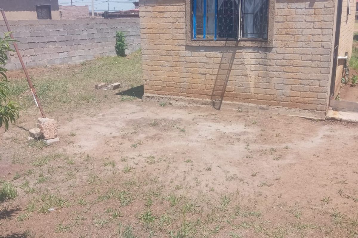 Rear view of a modest brick structure featuring metal-framed windows with security bars, set within a basic yard with a concrete block boundary wall.