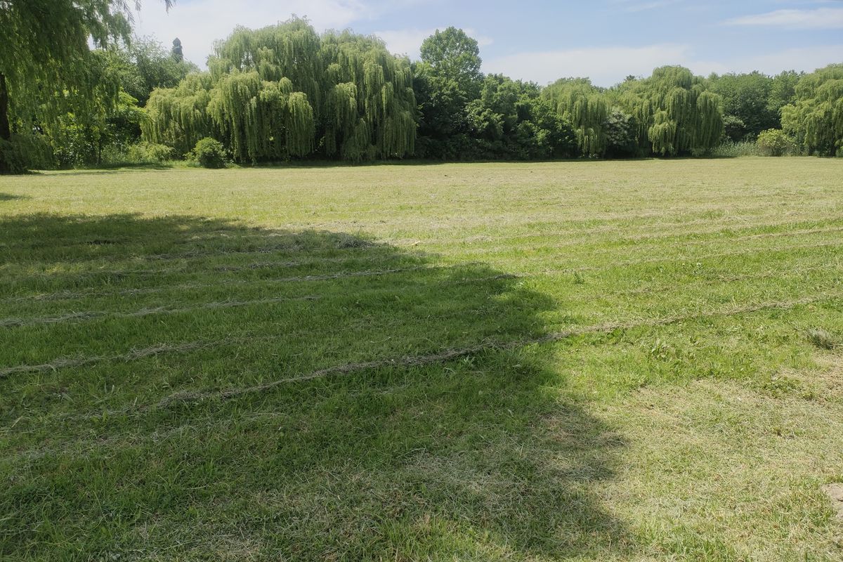 A spacious, well-maintained residential land plot featuring a lush green lawn and mature trees providing natural shade and privacy.
