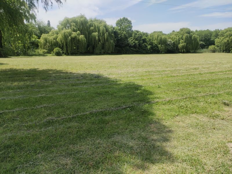 A spacious, well-maintained residential land plot featuring a lush green lawn and mature trees providing natural shade and privacy.