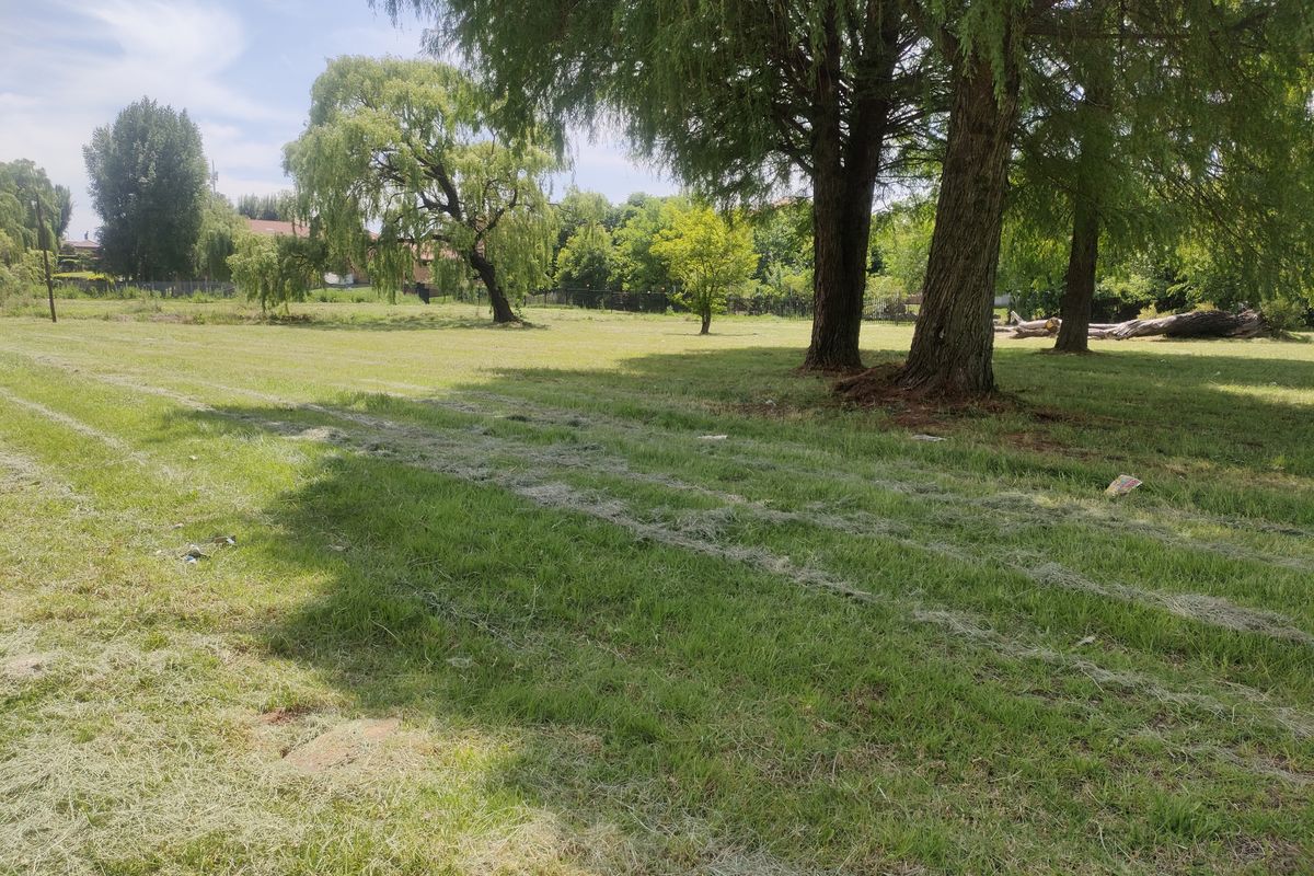 A spacious, level residential plot featuring established mature trees and a well-maintained grass lawn, offering a peaceful and scenic outdoor setting.