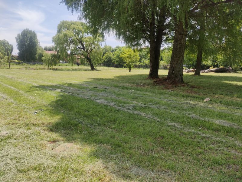 A spacious, level residential plot featuring established mature trees and a well-maintained grass lawn, offering a peaceful and scenic outdoor setting.