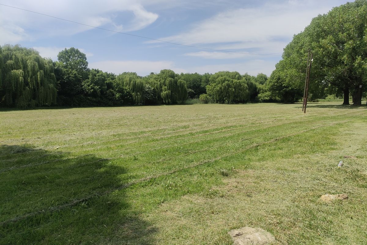 A spacious, well-maintained grassy plot featuring mature trees and a utility pole, offering a peaceful and open residential setting.