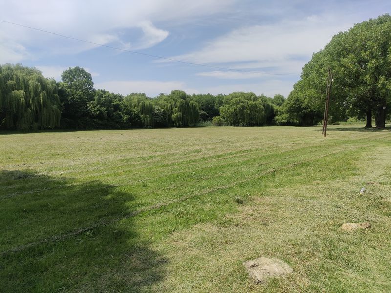 A spacious, well-maintained grassy plot featuring mature trees and a utility pole, offering a peaceful and open residential setting.
