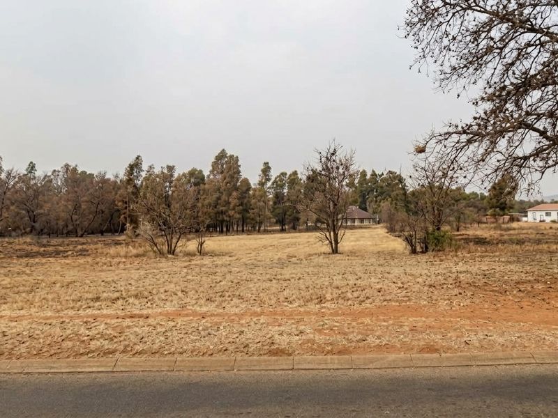 A view of a vacant residential plot featuring dry grass, mature trees, and direct access from a paved road.