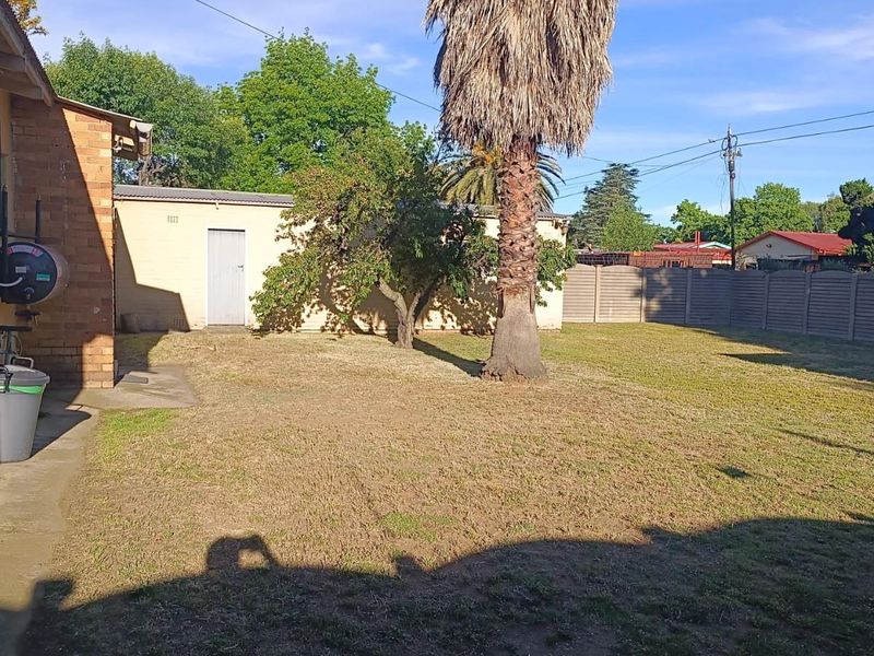 A spacious rear garden featuring a lawn area, mature palm tree, and a detached outbuilding with a brick and plaster finish.