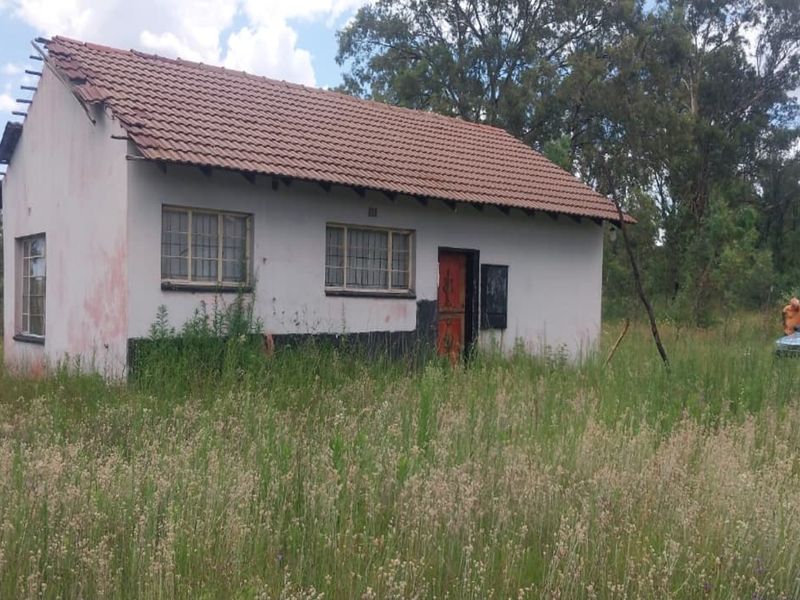 4 Hectare Smallholding – Peaceful Farm Lifestyle with Endless Potential - Photo 5