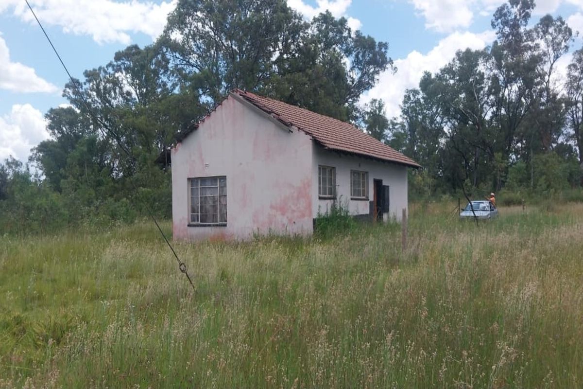 4 Hectare Smallholding – Peaceful Farm Lifestyle with Endless Potential - Photo 4