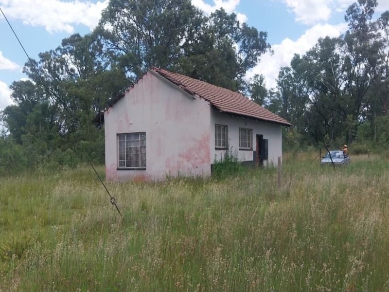 4 Hectare Smallholding – Peaceful Farm Lifestyle with Endless Potential - Photo 4