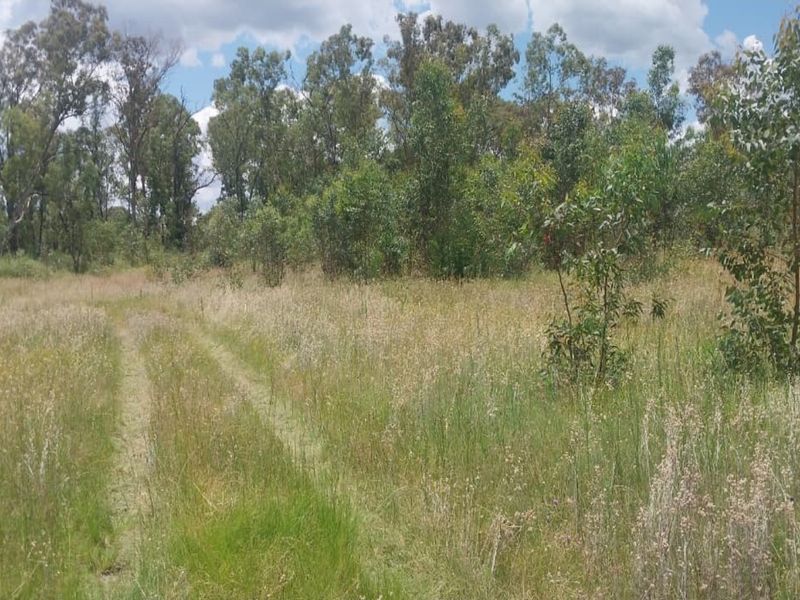4 Hectare Smallholding – Peaceful Farm Lifestyle with Endless Potential - Photo 7
