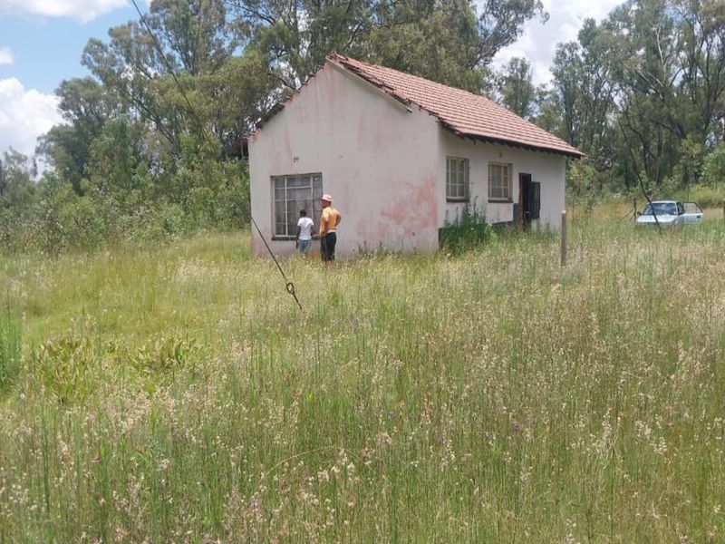 4 Hectare Smallholding – Peaceful Farm Lifestyle with Endless Potential - Photo 6
