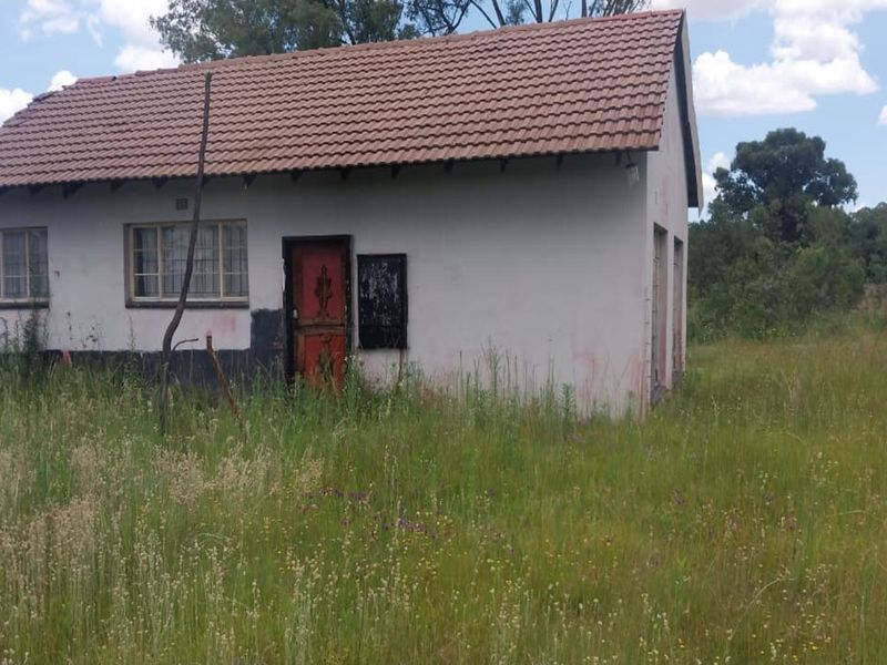 4 Hectare Smallholding – Peaceful Farm Lifestyle with Endless Potential - Photo 1