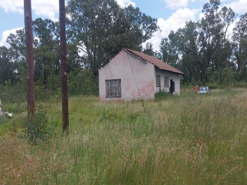 4 Hectare Smallholding – Peaceful Farm Lifestyle with Endless Potential - Photo 3