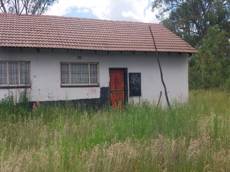 4 Hectare Smallholding – Peaceful Farm Lifestyle with Endless Potential - Photo 2