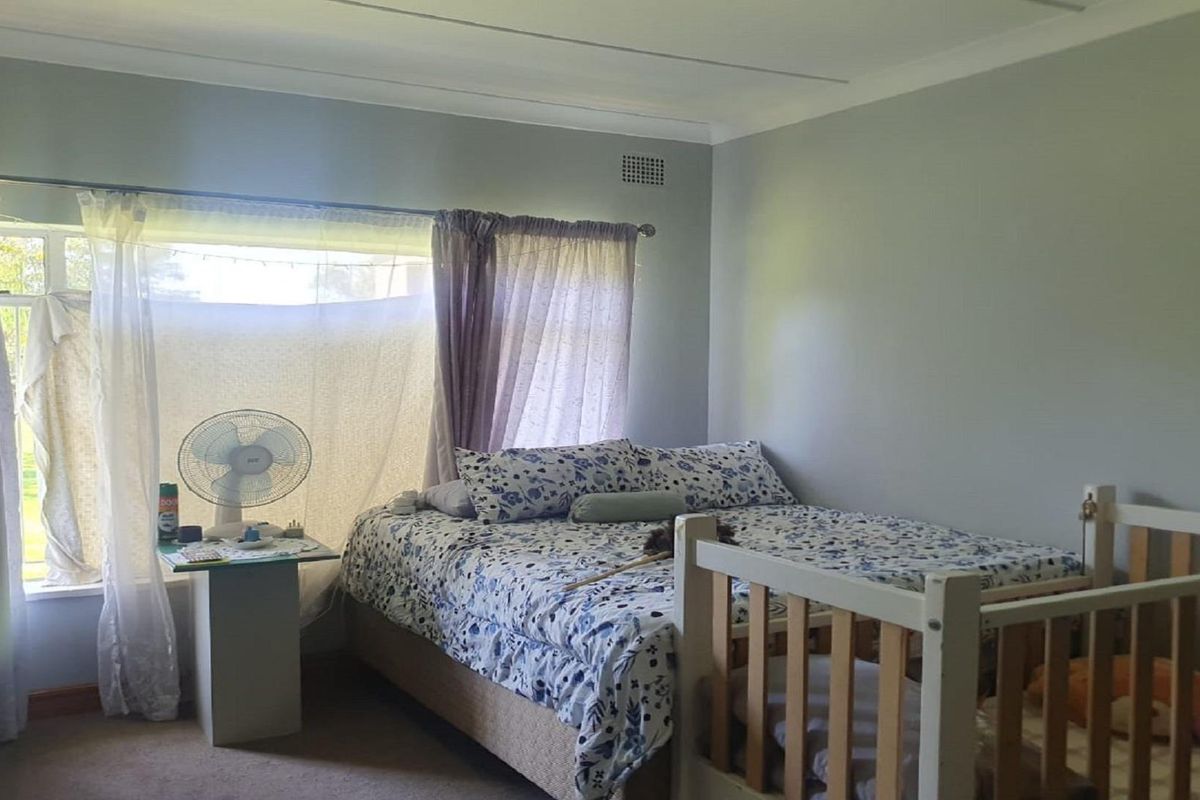A bedroom featuring neutral wall finishes, carpeted flooring, and a large window providing natural light.