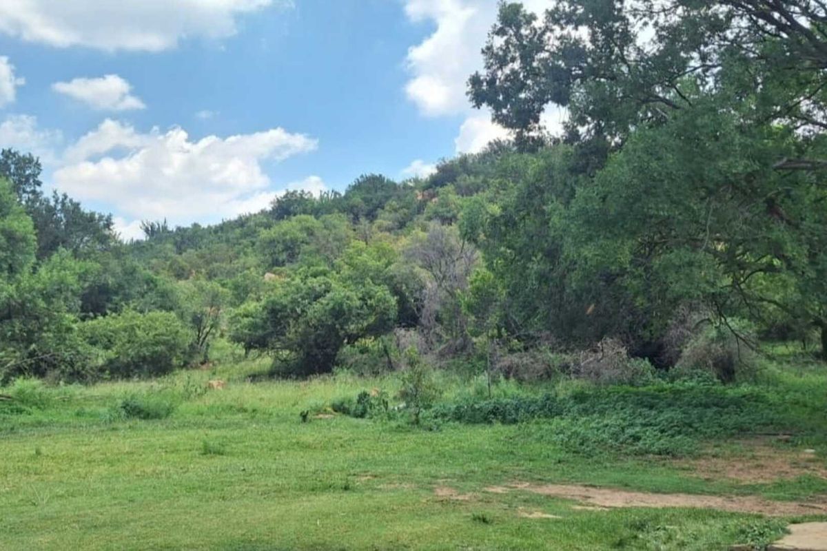 Spacious 4.6 Hectare Smallholding Rental with Modern Open-Plan Living - Photo 4