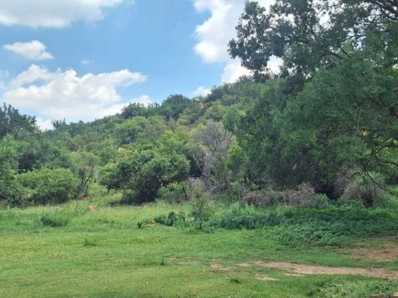 Spacious 4.6 Hectare Smallholding Rental with Modern Open-Plan Living - Photo 4